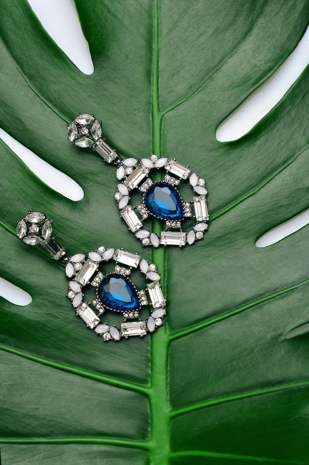 Flora collection